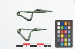 Foto von Bronzepaukenfibel (NHMW-PRAE-025762)